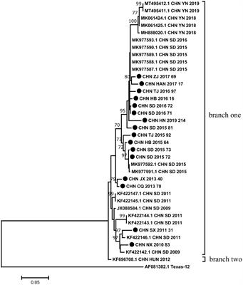 Genetic characterization and molecular epidemiology of Coxsackievirus A12 from mainland China during 2010–2019